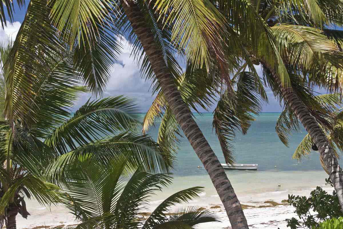 Mahe Beach - Seychelles