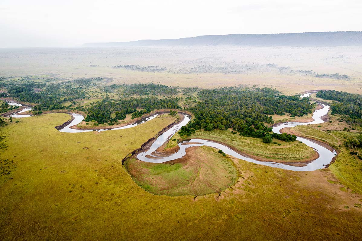Tidal Creek - Kenya