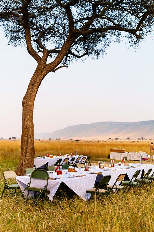 Brunching in savanna