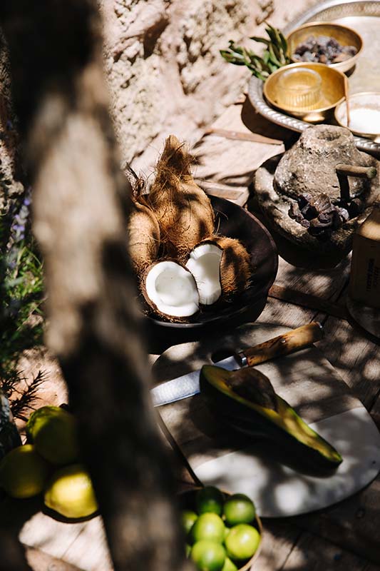 Coco and fruits - Seychelles