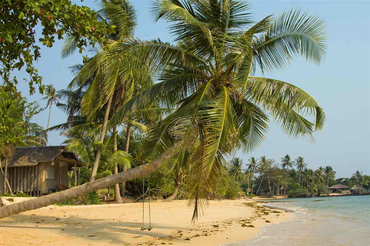 Beach - Phuket - Thailand