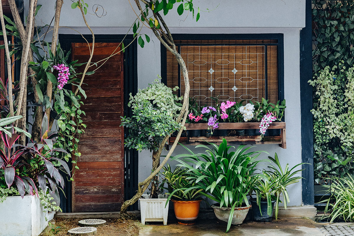 Chiang Mai - Thaïlande