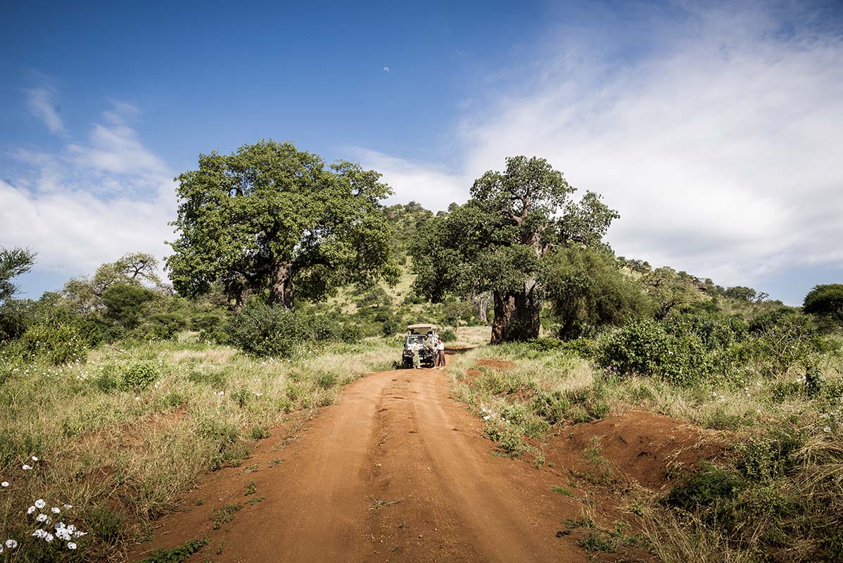 Safari in Tanzania
