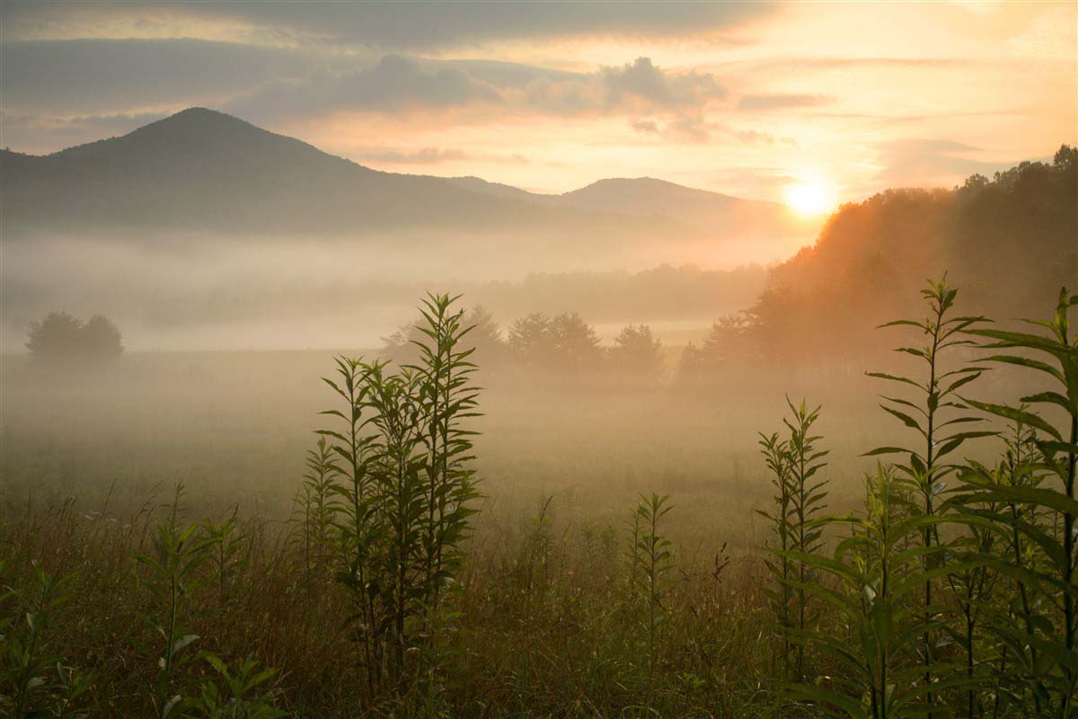 Parc National des Great Smoky Mountains - Etats-Unis