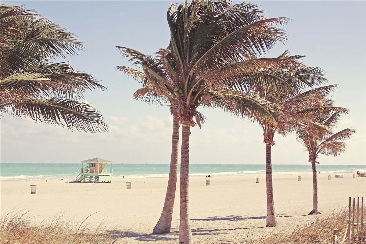 Miami Beach - Florida - United States