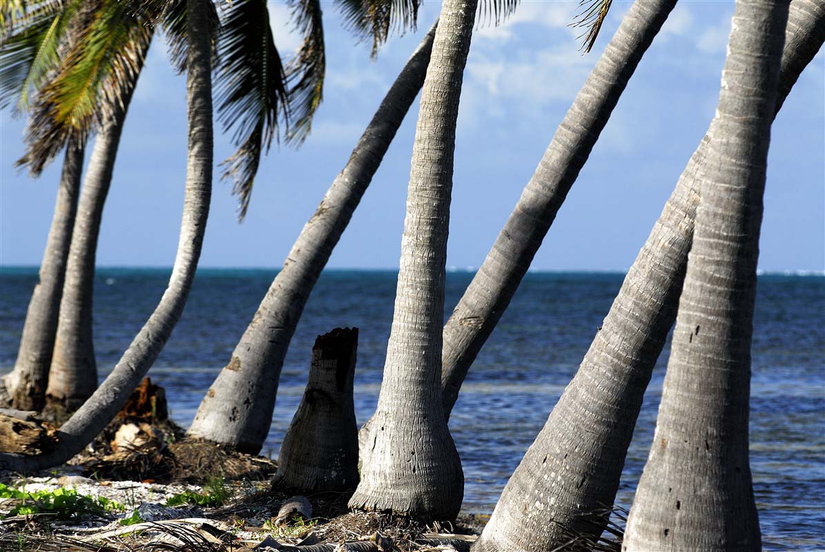 San Pedro - Ambergris Caye - Belize