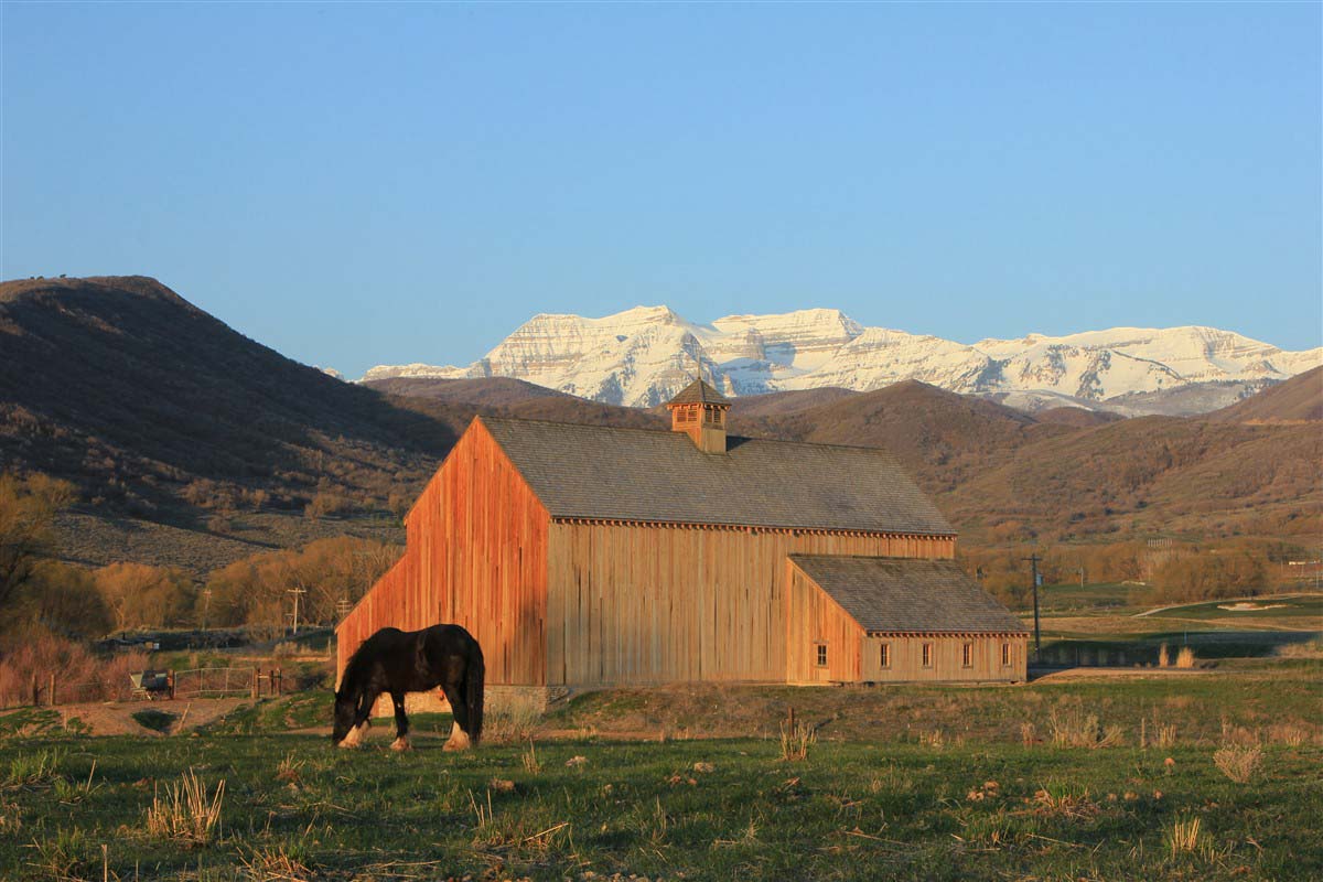 Farm - United States