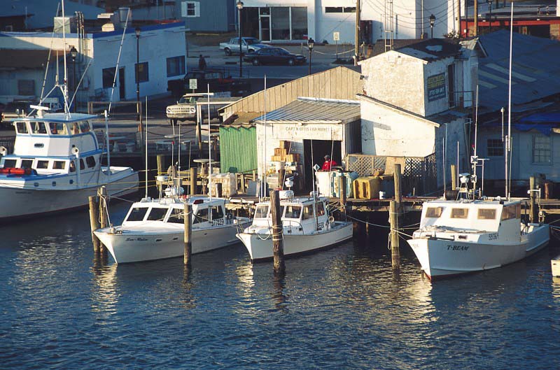 Seaport - North Carolina - United States