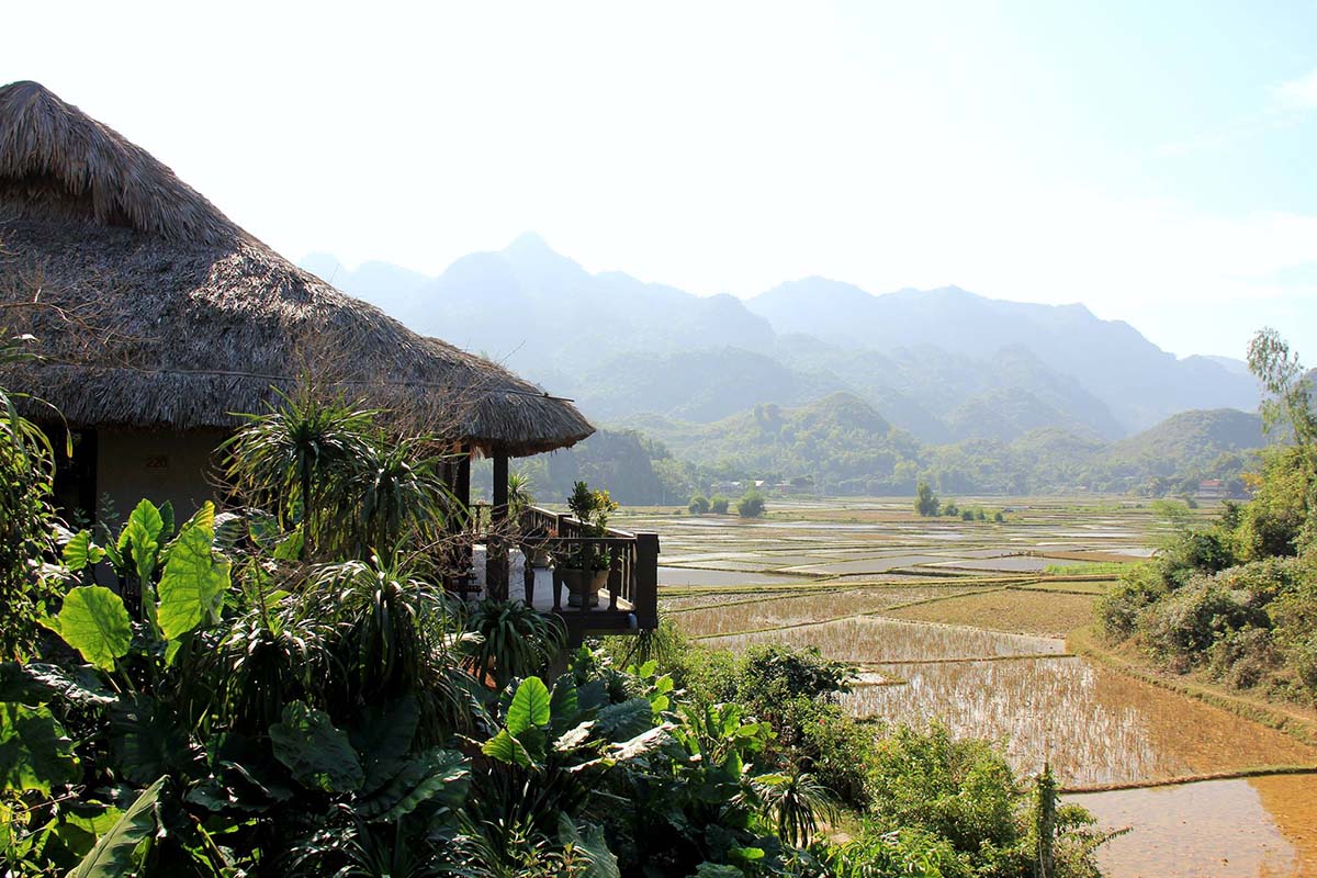 Village and rice fields - Vietnam