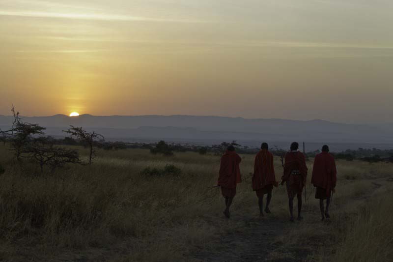 Sunset on the savanna - South Africa