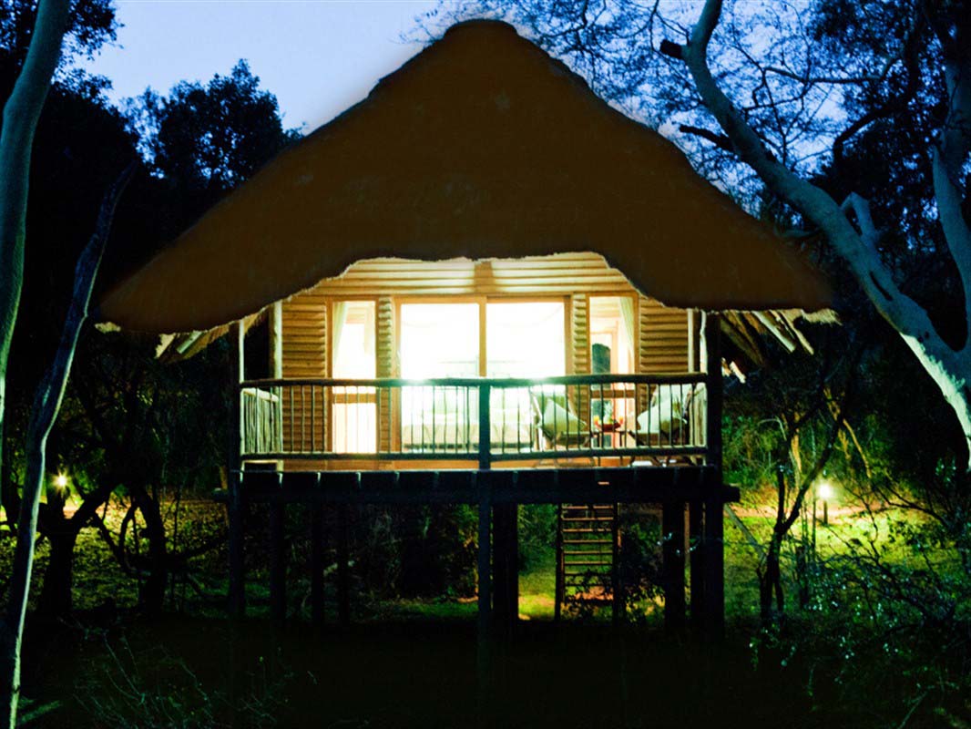 Ubizane Zululand Tree Lodge - Hluhluwe - South Africa