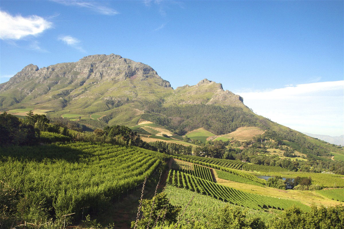 Stellenbosch - Cap Occidental - Afrique du Sud