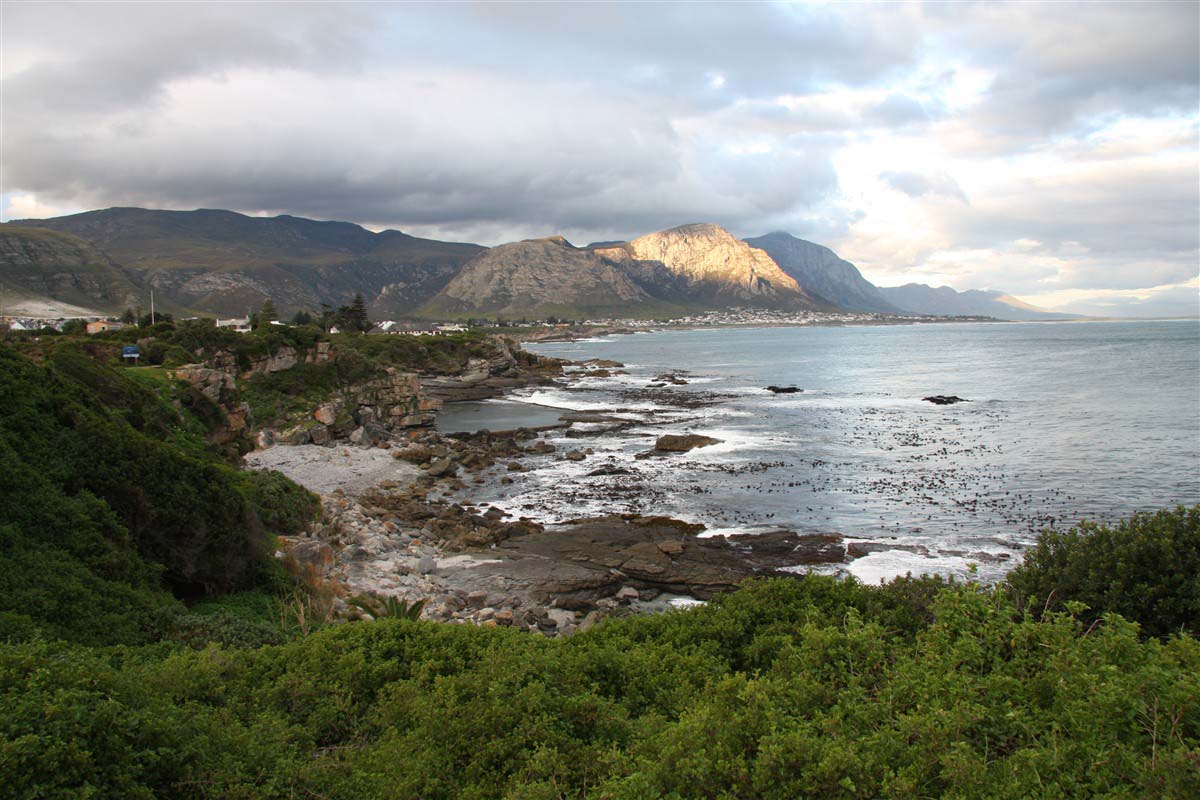 View on the sea - South Africa