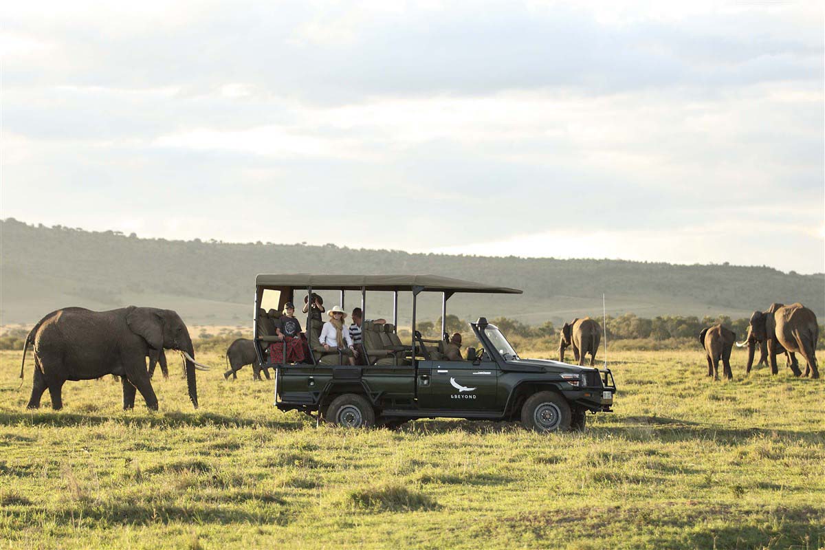 Going on safari in South Africa