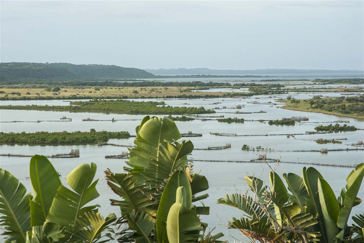 Wetland - South Africa
