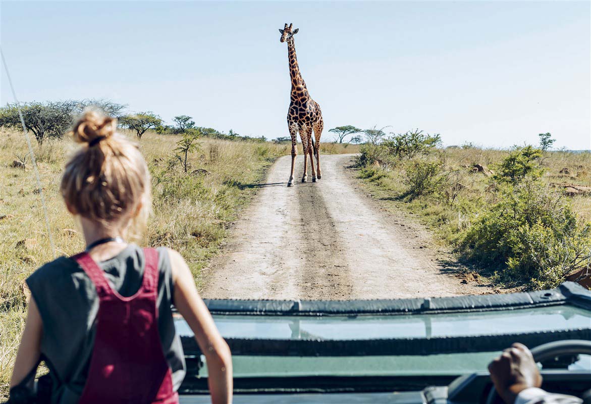 Giraffe croissing a road during safari