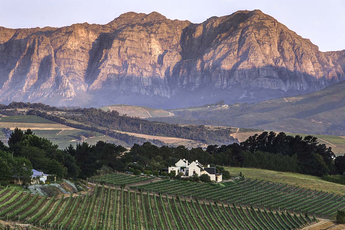 Wine Valley - South Africa