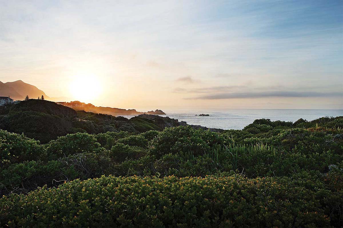 Seascape - South Africa