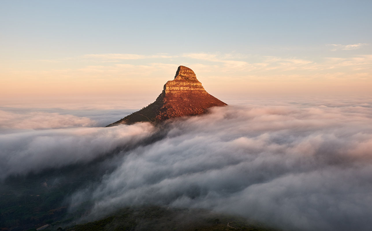 Lion's Head - South Africa