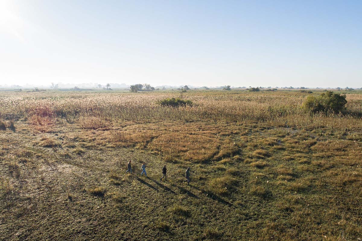 Walking in savanna - South Africa