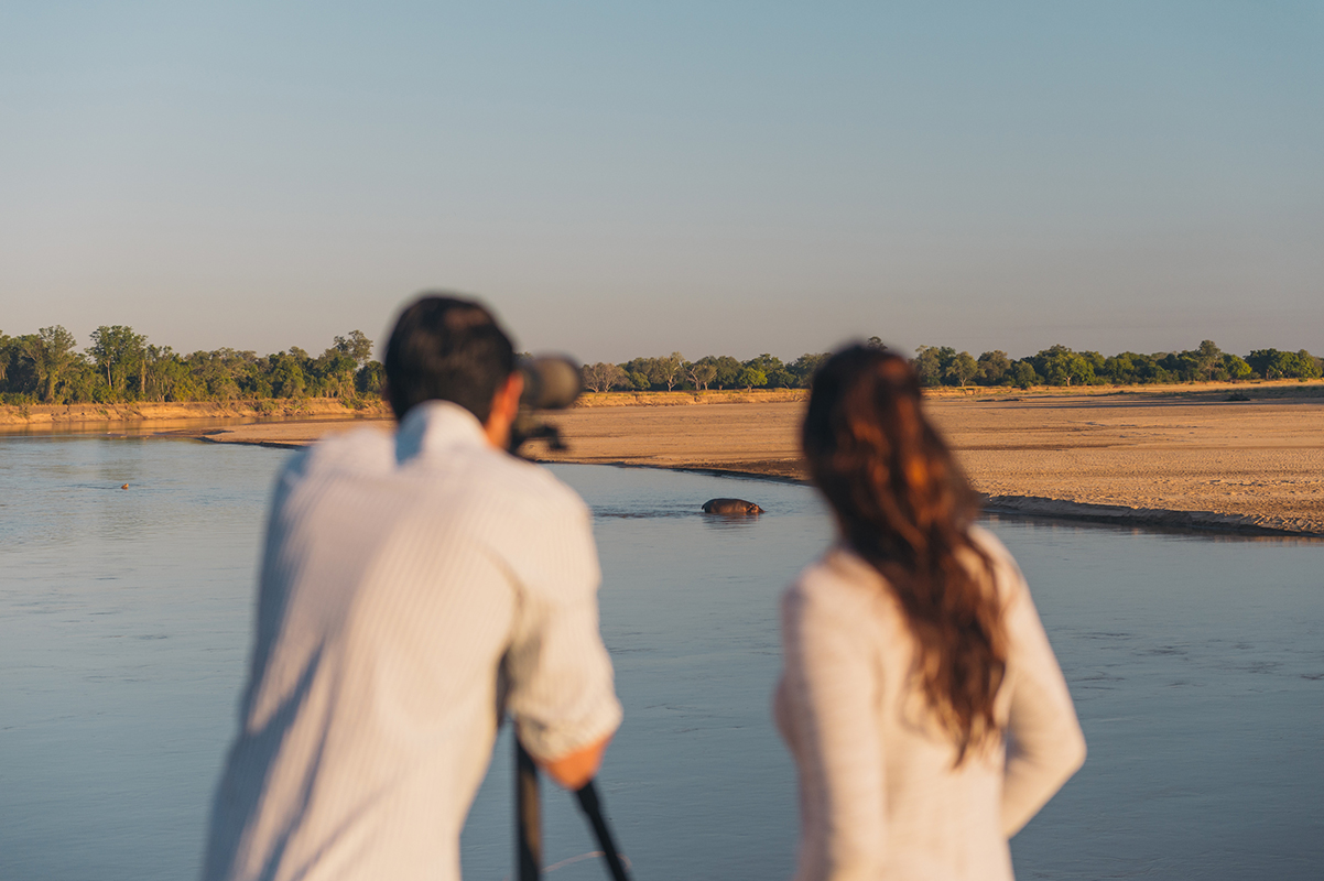 Watching wildlife - Zambia