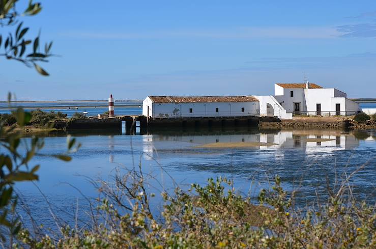 Ria Formosa - Algarve - Portugal