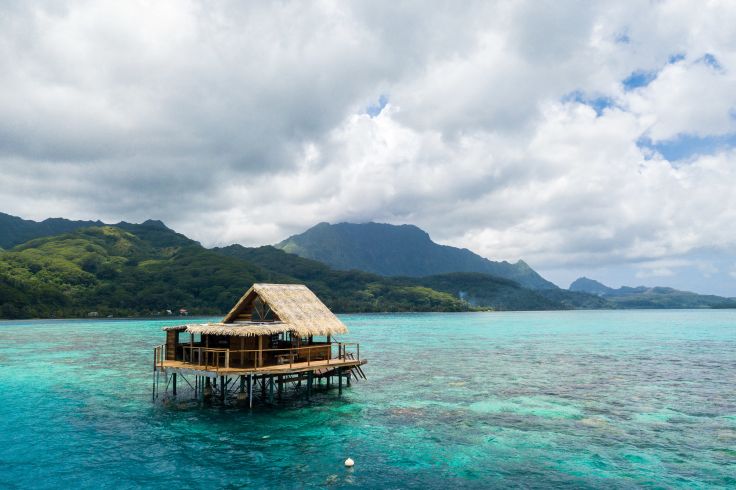 Île de Raiatea - Tahiti - Polynésie
