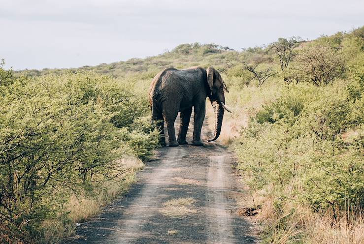 Tanzania