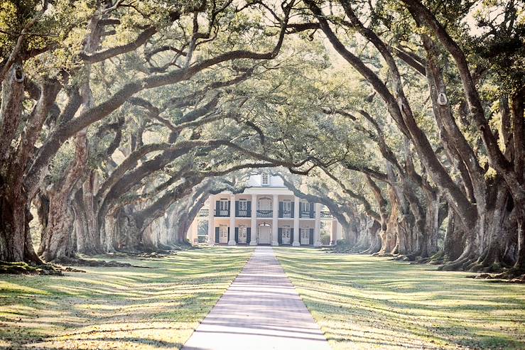 Plantation d'Oak Alley - Louisiane - Etats-Unis