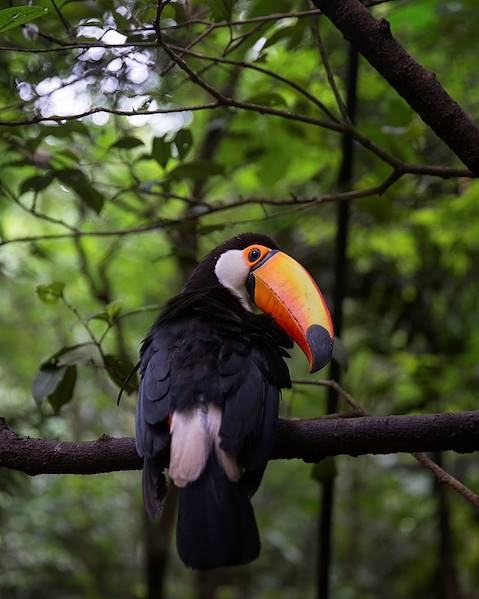 One Country Argentina – Buenos Aires – Iguazu – Brazil – Rio