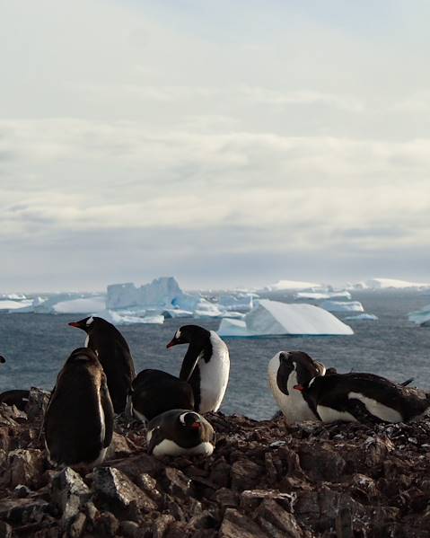 One Country Chile – Santiago – Punta Arenas – Antarctica – Casablanca