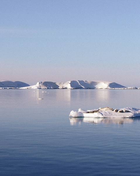 One Country Antarctica – Argentina – Buenos Aires – Ushuaia – Falkland Islands – South Georgia – South Shetland Islands