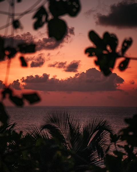 Stay Antigua