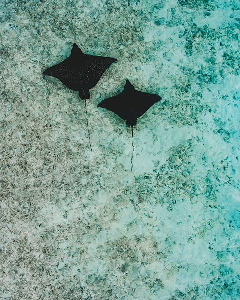 One Country Australia – Perth – Yallingup – Exmouth - Fremantle