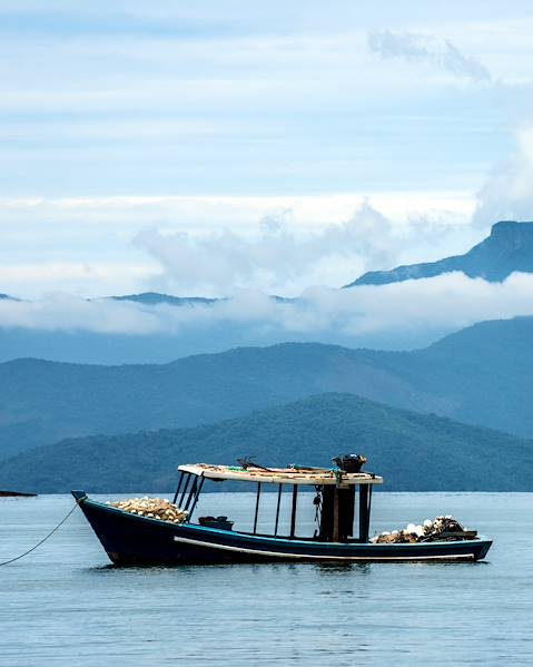 Itinerary Manaus & The Amazon Basin