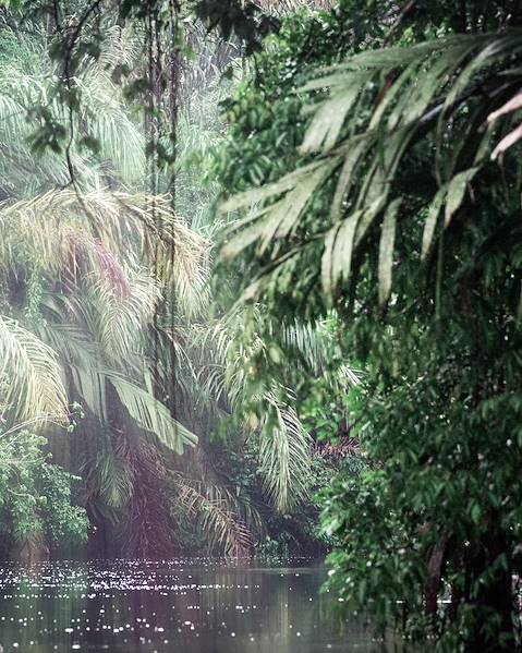 One Country Guyana,Barbados