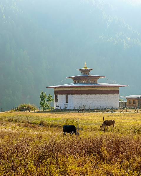 One Country Bhutan - Thimphu - Punakha - Paro