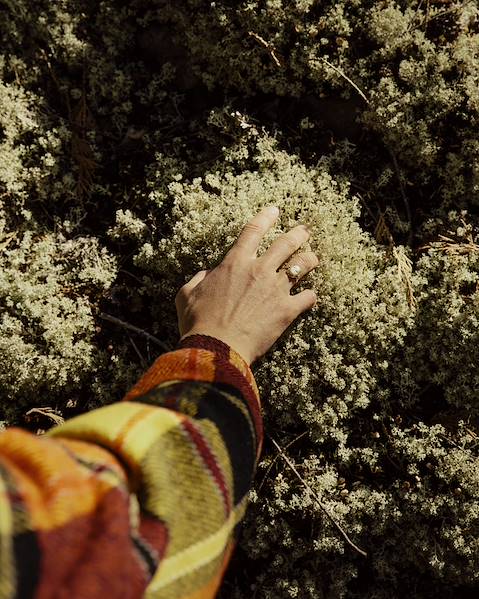 One Country Canada - Montreal - Quebec City - Baie-Saint-Paul