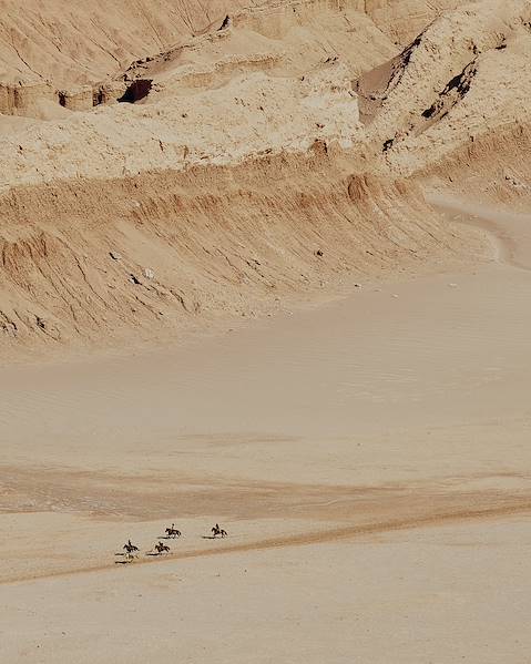 One Country Chile - Santiago - San Pedro de Atacama - Puerto Natales - Torres del Paine - Punta Arenas - Valparaiso