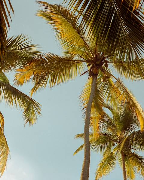 One Country Colombia - Bogota - Salento - Medellin – Caratagena de Indias - Tayrona National Park