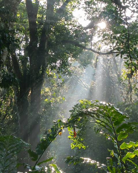 One Country Costa Rica – San Jose – Sarapiqui – La Fortuna – Bijagua – Tambor –Tarcoles – Uvita