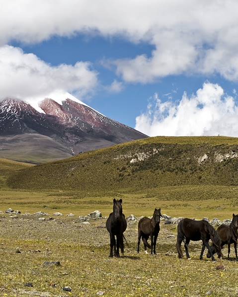 One Country Ecuador – Quito – Andes – Galapagos