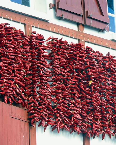 Itinerary Bilbao, San Sebastian and Rioja