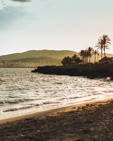 One Country Spain – the Balearic Islands – Palma – Ses Salines