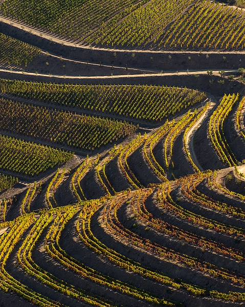 One Country Spain – Portugal – San Sebastian – Bilbao – Picos de Europa – Santiago de Compostela – Porto – Douro Valley