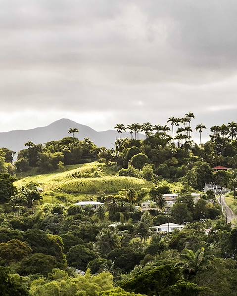 Itinerary Deshaies (Basse-Terre) - Trois-Rivières (Basse-Terre) - Sainte-Anne (Grande-Terre)