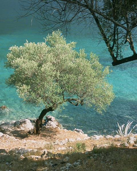 Itinerary Leivathos - Vathy - Argostoli