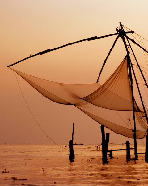 One Country India – Bangalore – Cochin – Alleppey – Palakkad – Coonoor – Wayanad – Mysore – Coorg – Neeleshwar