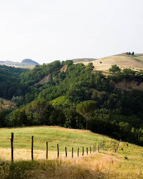 One Country Bologna - Chianti Hills - Levanto