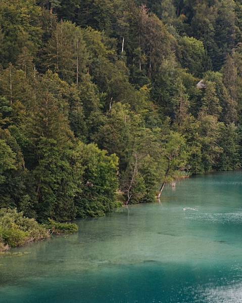 One Country Italy – Slovenia – Croatia – Pettenasco – Venice – Bled – Pivka – Bale – Portoroz – Smartno – Bergamo